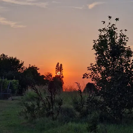 Divino Tramonto *