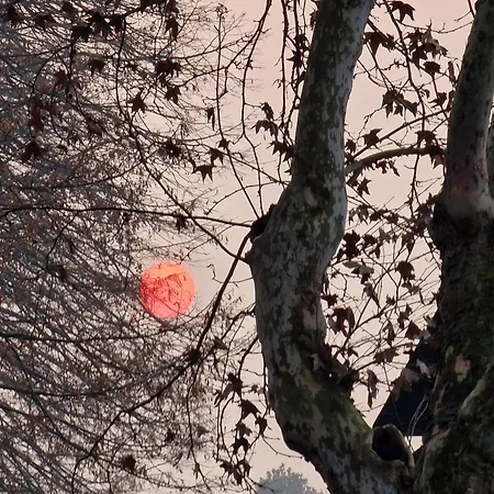 Divino Tramonto Altedo