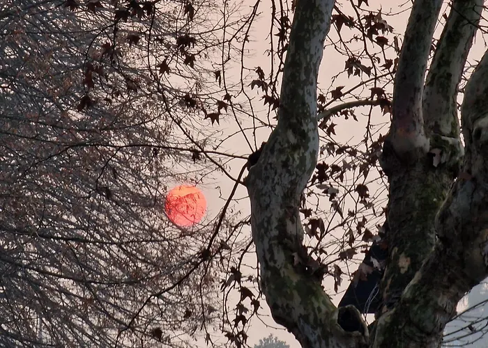 Divino Tramonto Altedo